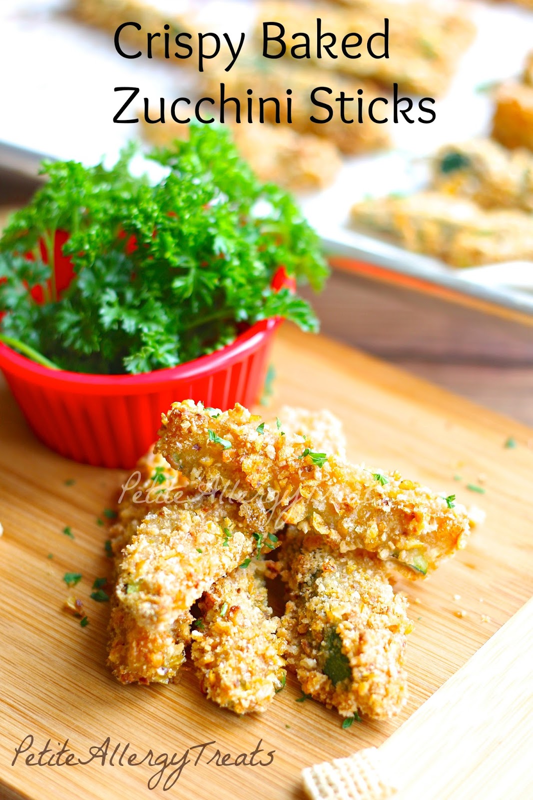 Gluten Free Vegan Breaded Zucchini Fries - Petite Allergy Treats