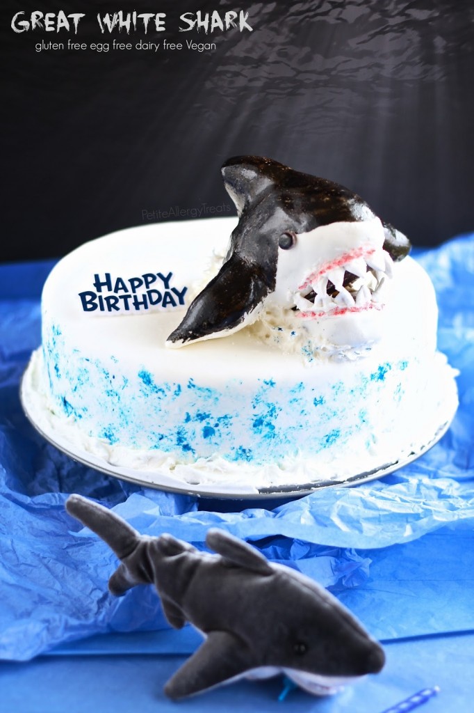 Shark Cake | The Sugar Bakery