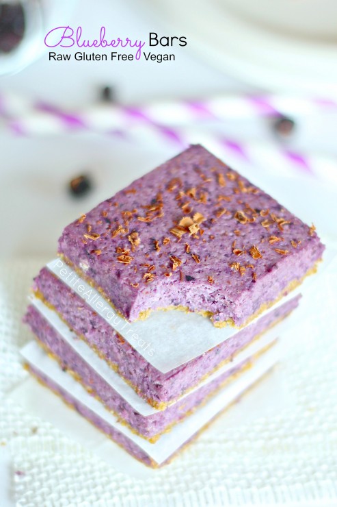 https://petiteallergytreats.com/wp-content/uploads/2014/06/BlueberryBars1.51-493x740.jpg