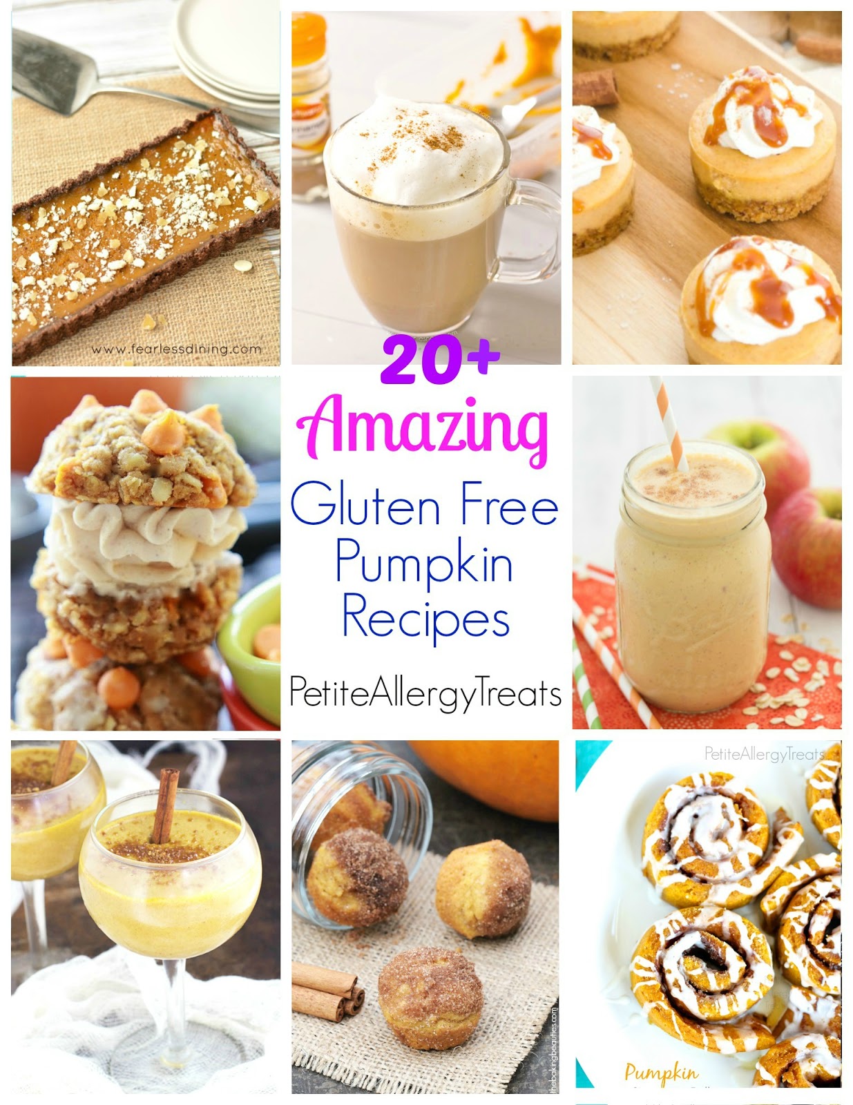 https://petiteallergytreats.com/wp-content/uploads/2014/10/Pumpkin-SNF1.1-Collage2.jpg