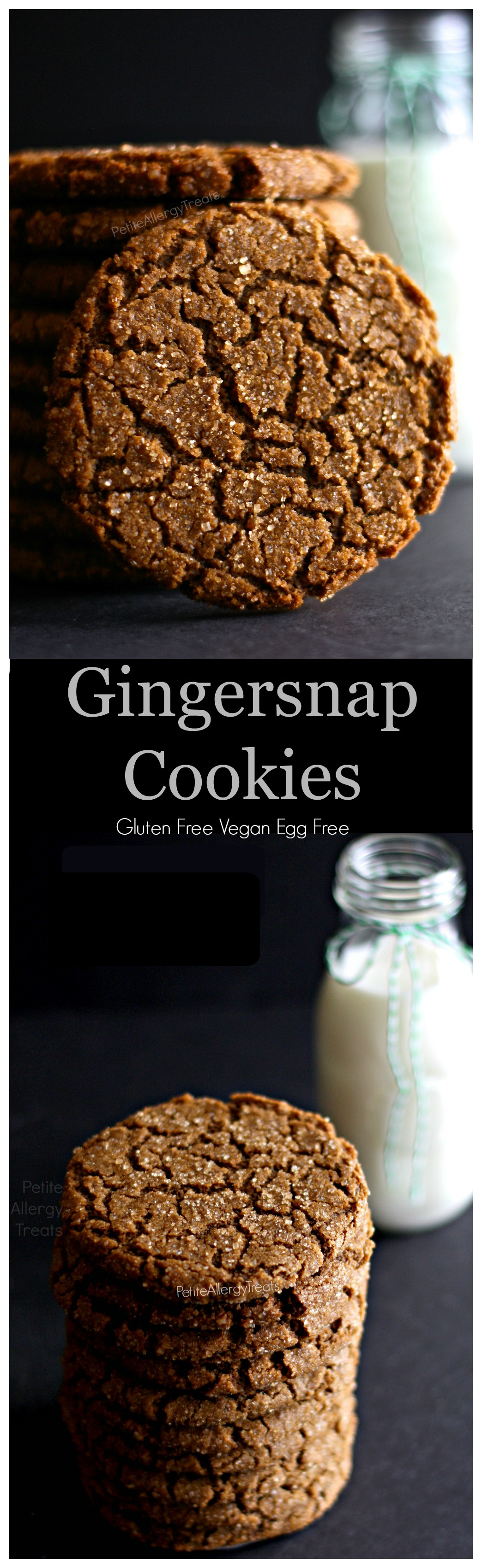 Gluten Free Gingersnap Cookies (Vegan egg free dairy free) Chewy, crisp and soft gingersnap with just enough spice and is Vegan and Egg Free.| PetiteAllergyTreats