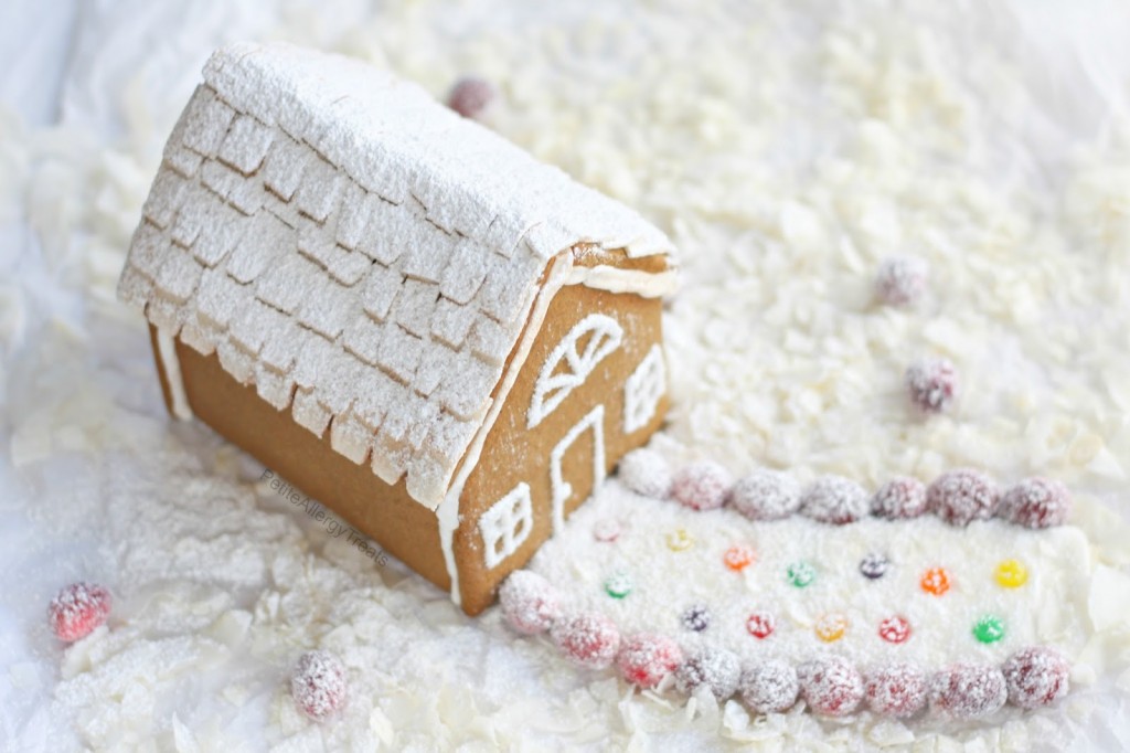 vegetarian gingerbread house kit