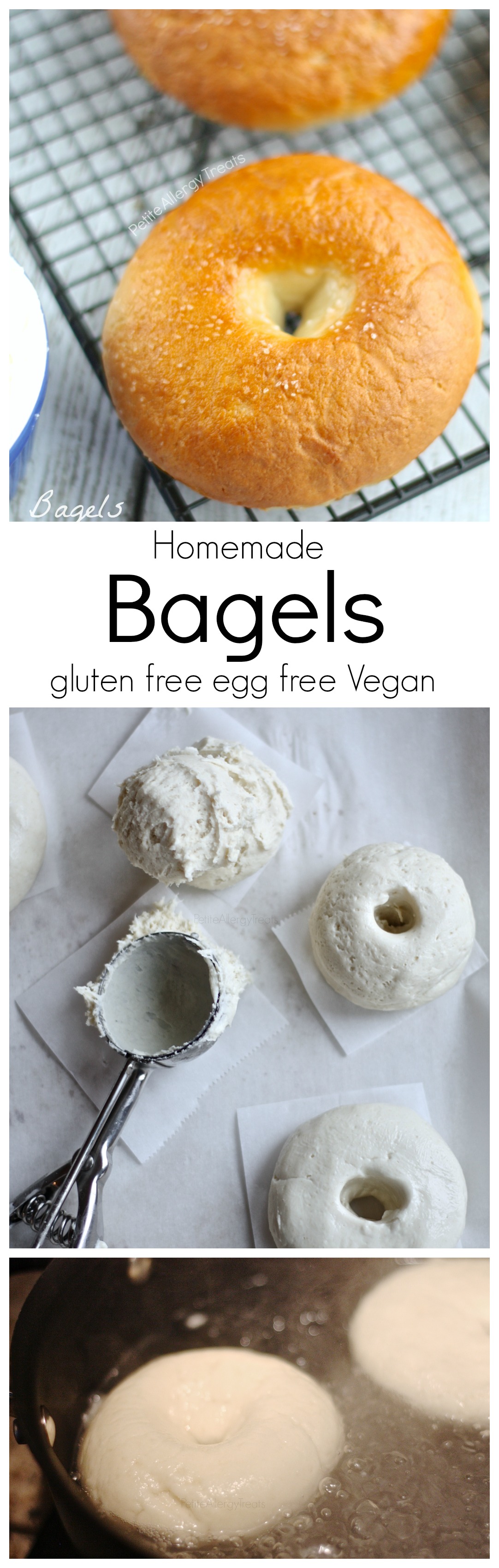 Gluten Free Bagels (Vegan Egg Free)- Chewy and dense, you'll never know these bagels are gluten free and egg free. PetiteAllergyTreats