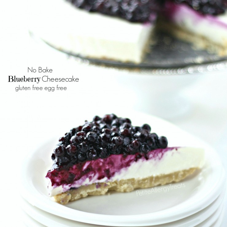 BlueberryCheeseCake1.5FBcrop