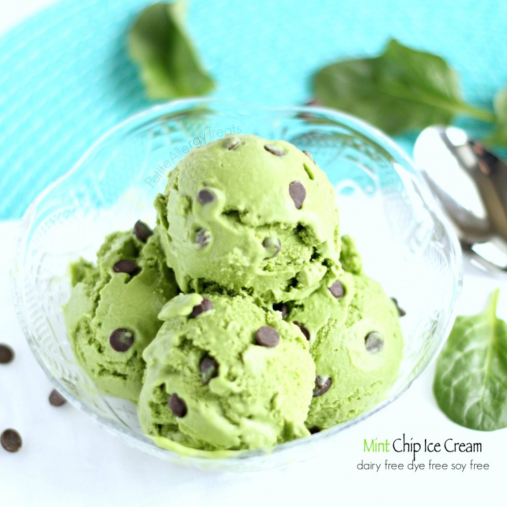 Mint Chocolate Chip Ice Cream (Vegan, Dairy Free) Easy homemade no churn naturally colored mint ice cream