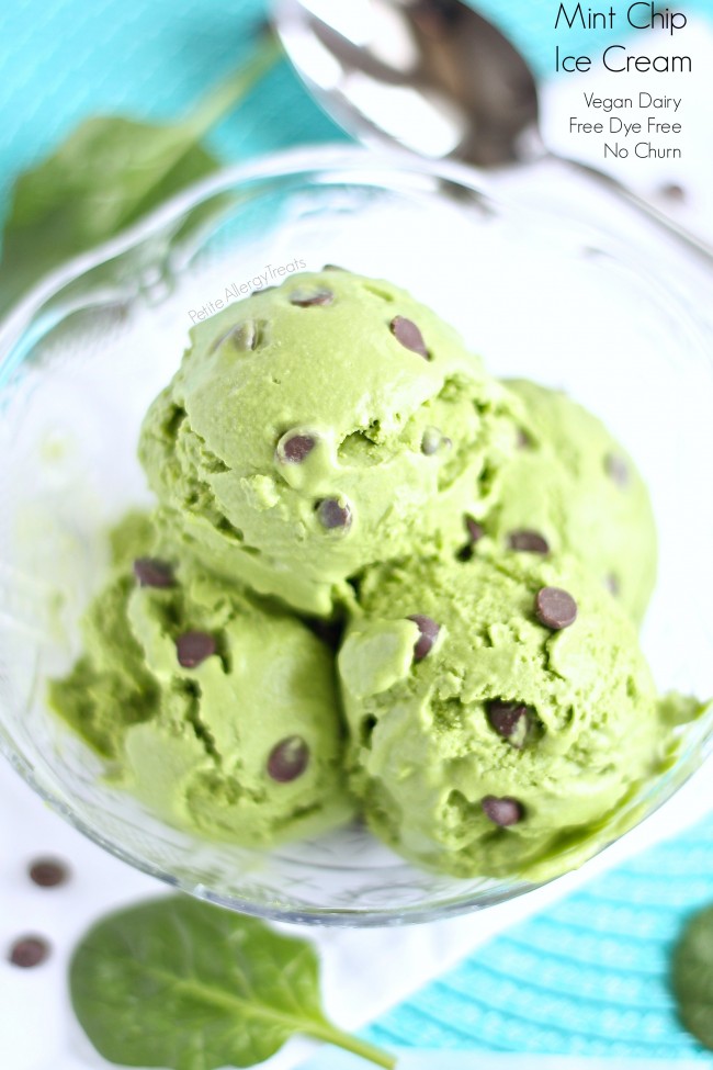 Mint Chocolate Chip Ice Cream (Dairy Free Vegan No-dye) - Petite ...