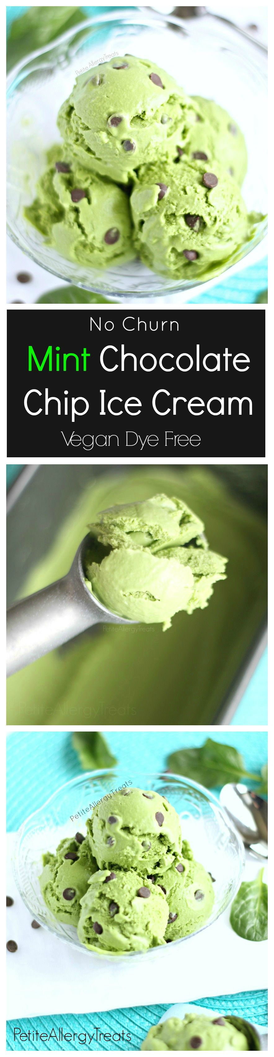 Mint Chocolate Chip Ice Cream (Vegan, Dairy Free) Easy homemade no churn naturally colored mint ice cream