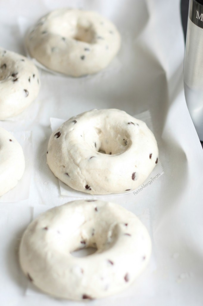 Easy Gluten Free Bagels with Chocolate Chips (Egg Free Vegan)- Chewy bagels with bits of chocolate. Better than Panera! Allergy friendly too.