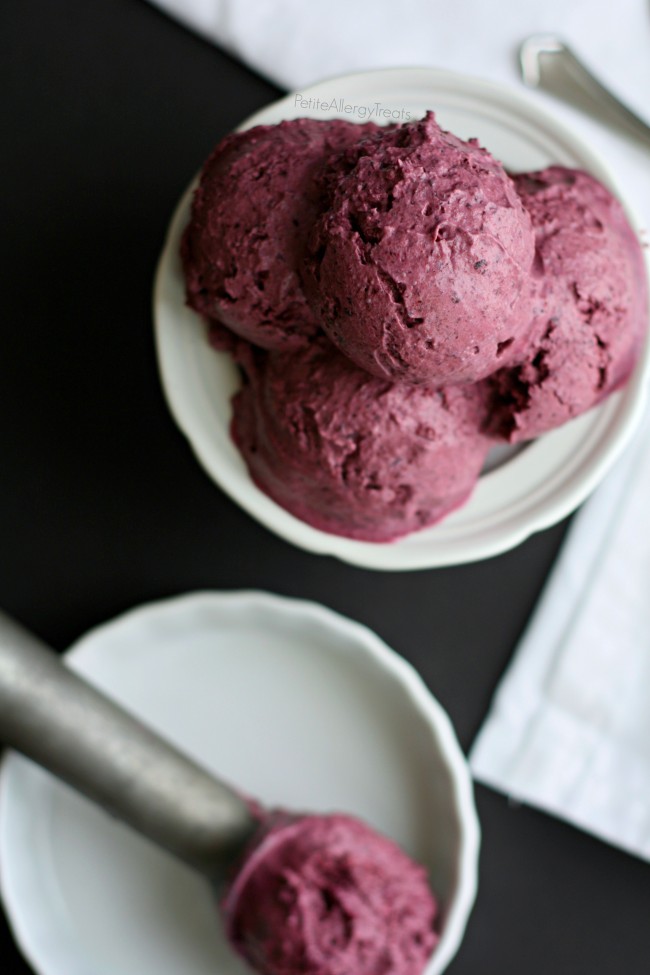 Blueberry ice cream discount in ice cream maker