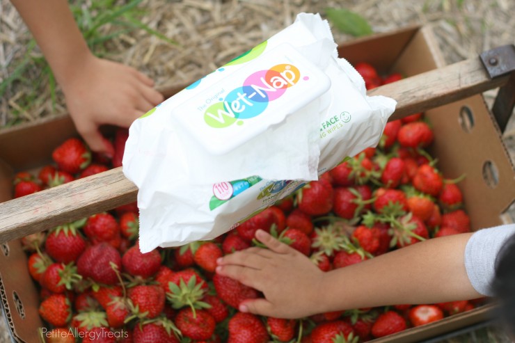 StrawberryPicking- PetiteAllergyTreats #conquerthemess, #pmedia, #ad