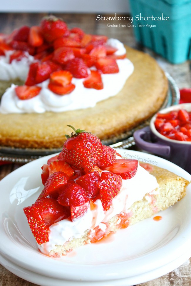 Strawberry Shortcake Gluten free Vegan Petite Allergy Treats