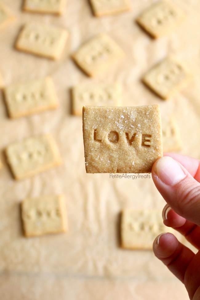 Gluten Free Crackers (Vegan 'wheat thins')  The Best copycat gluten free dairy free cracker with whole grains.