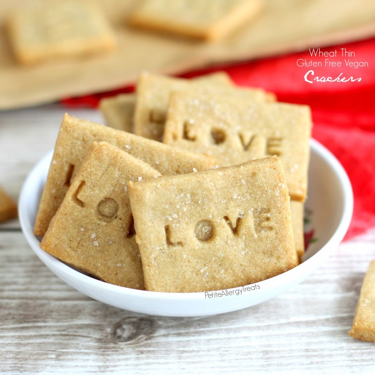 Gluten Free Crackers (Vegan 'wheat thins')  The Best copycat gluten free dairy free cracker with whole grains.