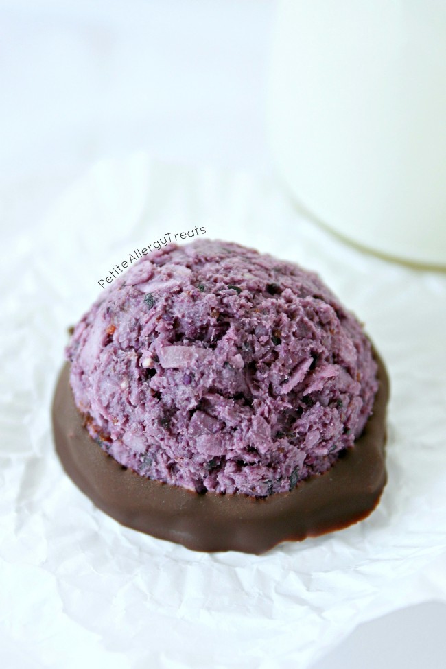 Blueberry Macaroons (egg free gluten free no bake Vegan) Super easy no bake blueberry coconut macaroons.