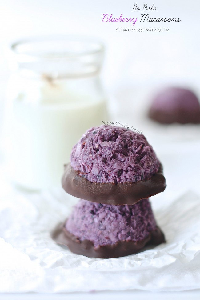 Blueberry Macaroons (egg free gluten free no bake Vegan) Super easy no bake blueberry coconut macaroons.