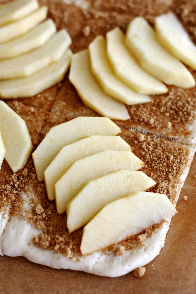 Apple Pie Tart (gluten free Vegan) Cinnamon and apple breakfast treat!