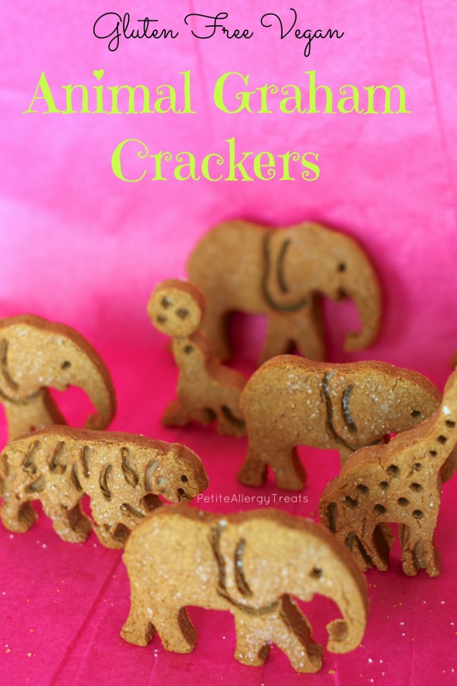 Animal Graham Crackers (gluten free Vegan) Kids will go crazy for these cute animal crackers!