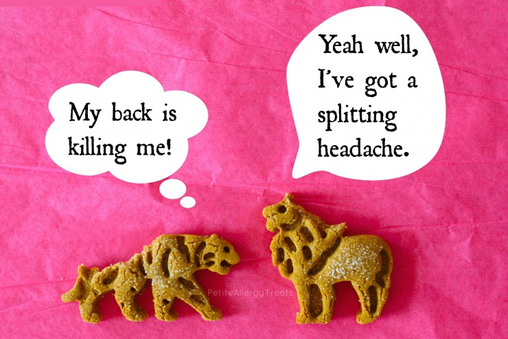 Animal Graham Crackers (gluten free Vegan) Kids will go crazy for these cute animal crackers!