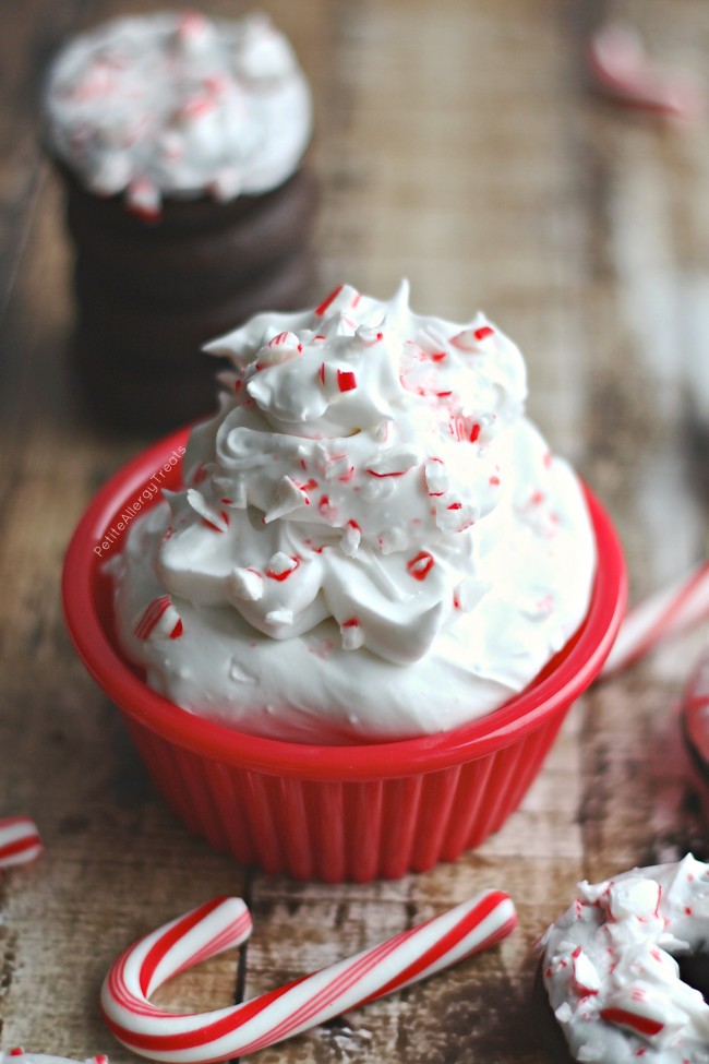 Dairy Free Peppermint Coconut Whipped Cream Chocolate Donuts (gluten free vegan) Bright and minty chocolate donuts are great Christmas!