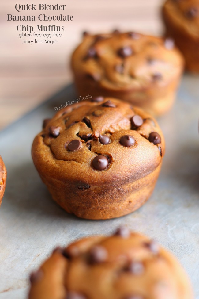 Blender Muffins Banana Chocolate Chip (gluten free Vegan)- Quick and easy recipe, breakfast full of bananas, avocado, and seed butter!