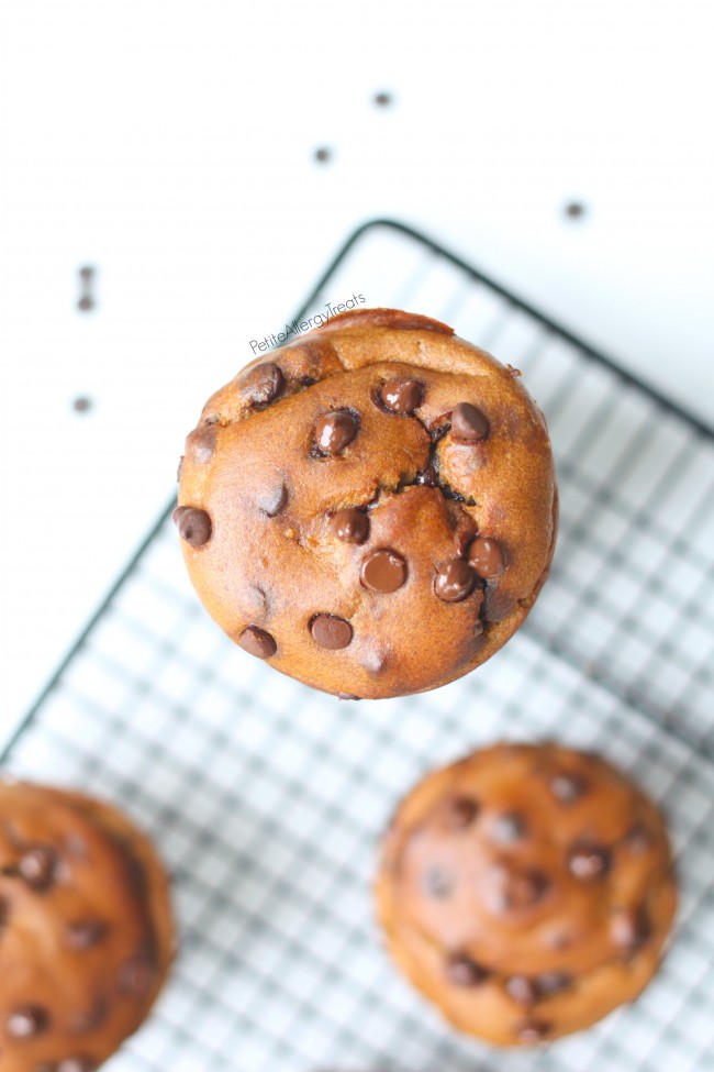 Banana Chocolate Chip Blender Muffin Recipe (gluten free Vegan)- Quick and easy breakfast full of bananas, avocado, and seed butter!