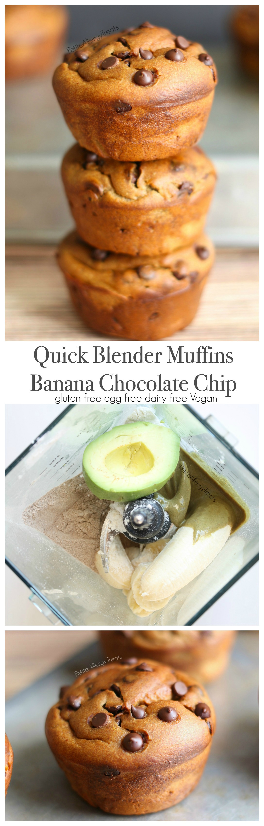 Gluten Free Blender Muffin Recipe Banana Chocolate Chip (dairy free Vegan)- Quick and easy breakfast full of bananas, avocado, and seed butter!