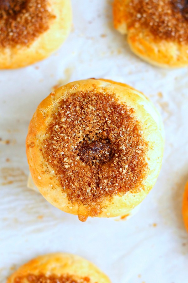 Gluten Free Panera Cinnamon Crunch Bagel Recipe (Vegan Copycat