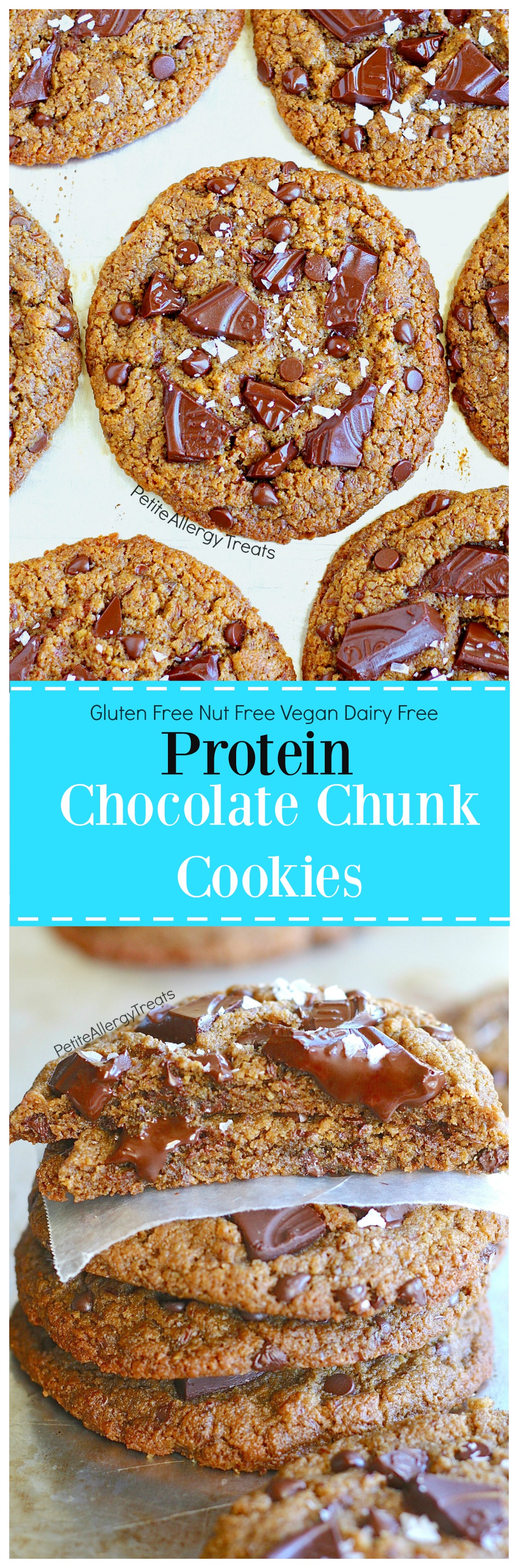 Gluten Free Chocolate Chunk Protein Cookies (nut free vegan dairy free) Recipe- Crisp bakery style food allergy friendly peanut butter-free chocolate chip cookies.