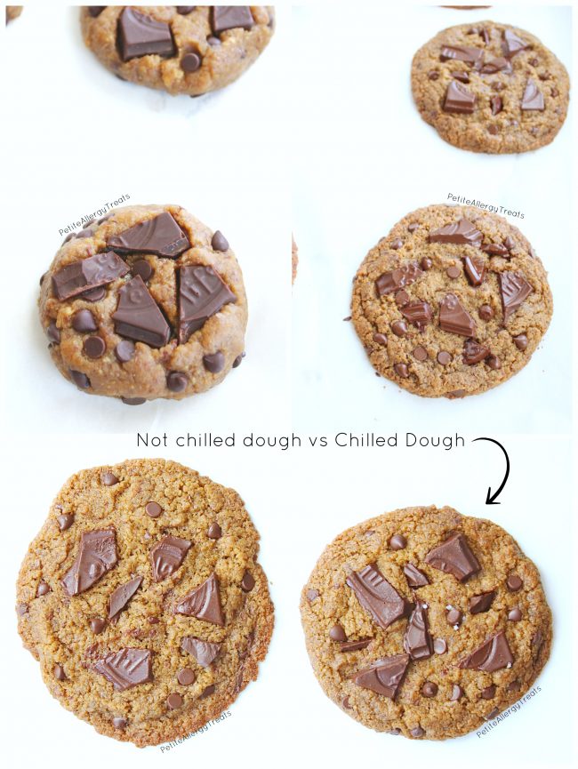 Gluten Free Chocolate Chunk Protein Cookies (nut free vegan dairy free) Recipe- Crisp bakery style food allergy friendly chocolate chunk cookies.