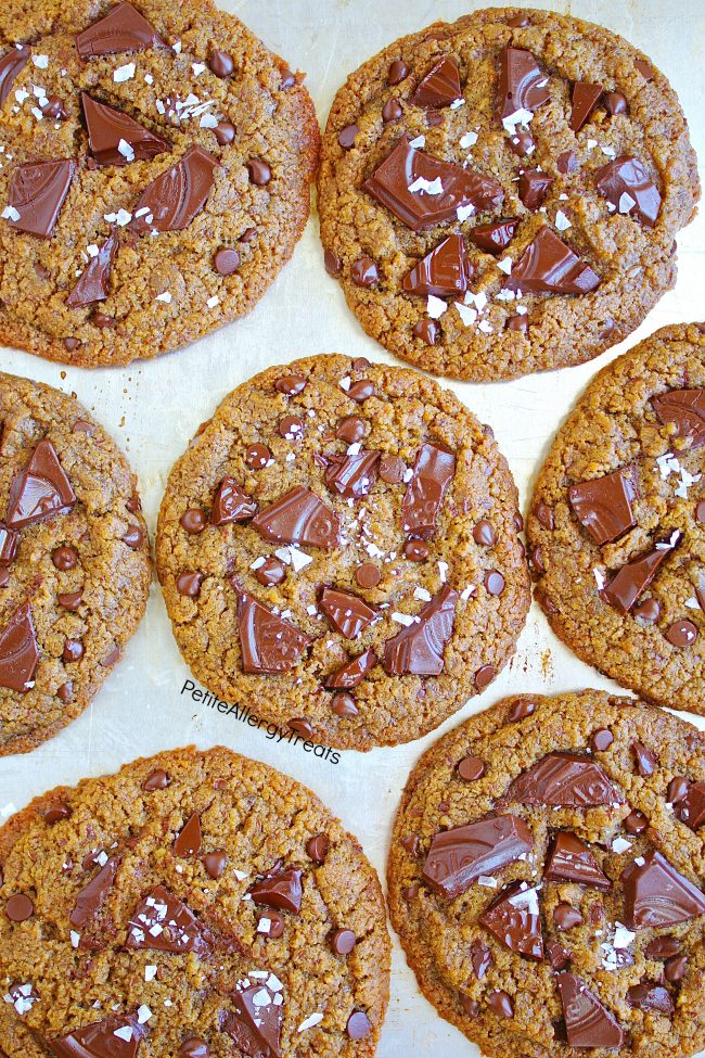 Gluten Free Chocolate Chip Protein Cookies (nut free vegan dairy free) Recipe- Crisp bakery style food allergy friendly chocolate chunk cookies.