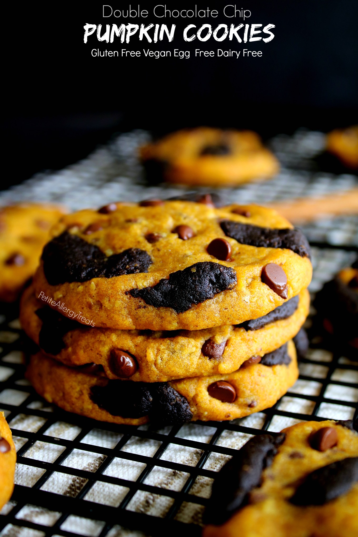 Gluten Free Double Chocolate Chip Pumpkin Cookies - Petite Allergy Treats