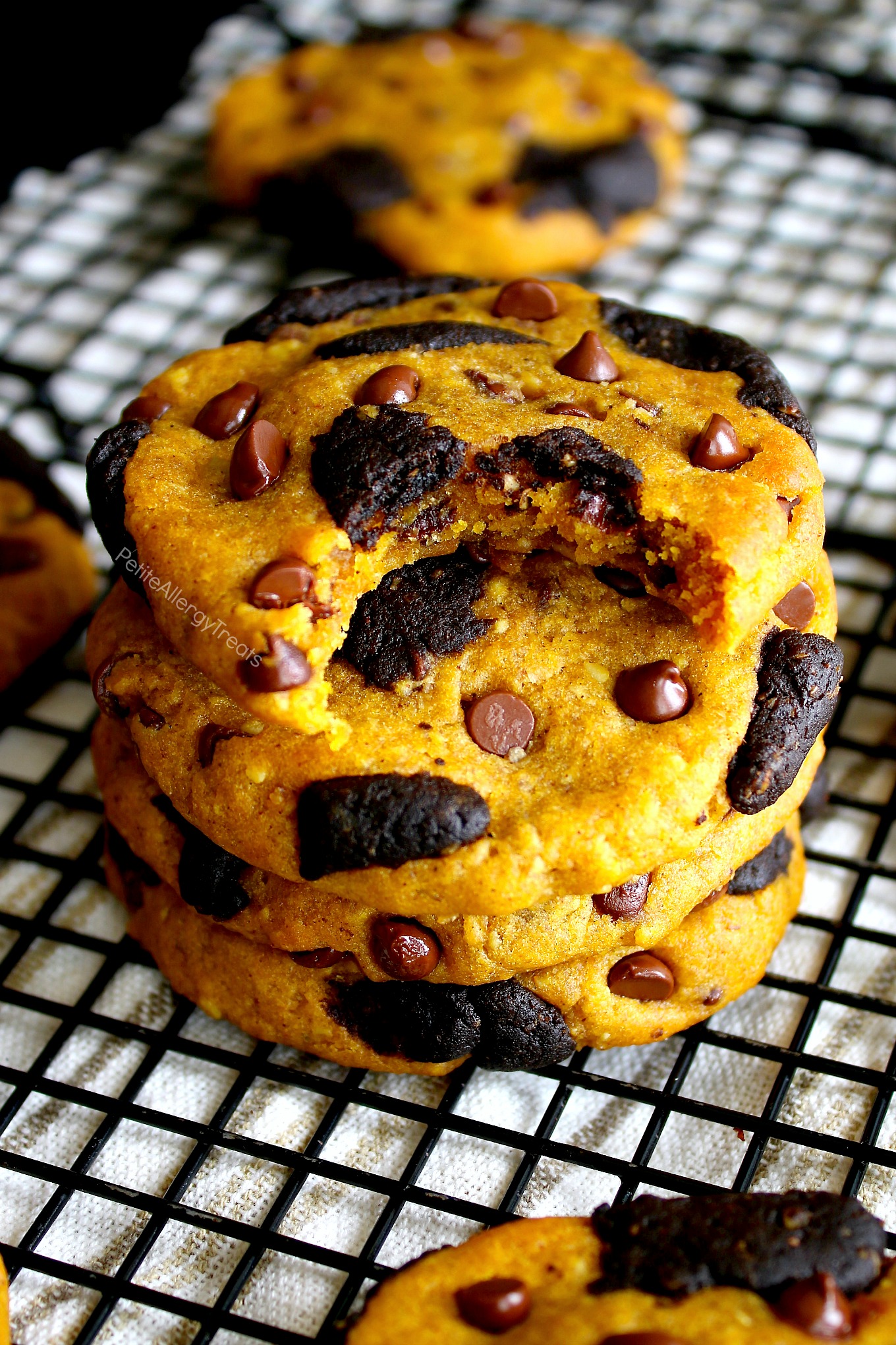 Gluten Free Vegan Pumpkin Chocolate Chip Cookies Recipe (egg free dairy free) Pumpkin filled chocolate cookies with warm pumpkin spice. Food Allergy friendly.