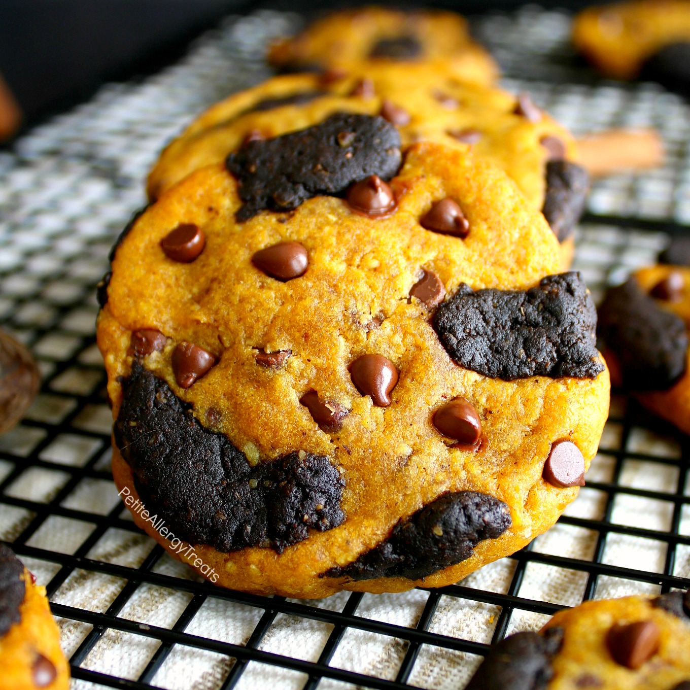 Vegan Pumpkin Chocolate Chip Cookies Recipe (gluten free egg free dairy free) Pumpkin filled chocolate cookies with warm pumpkin spice. Food Allergy friendly.