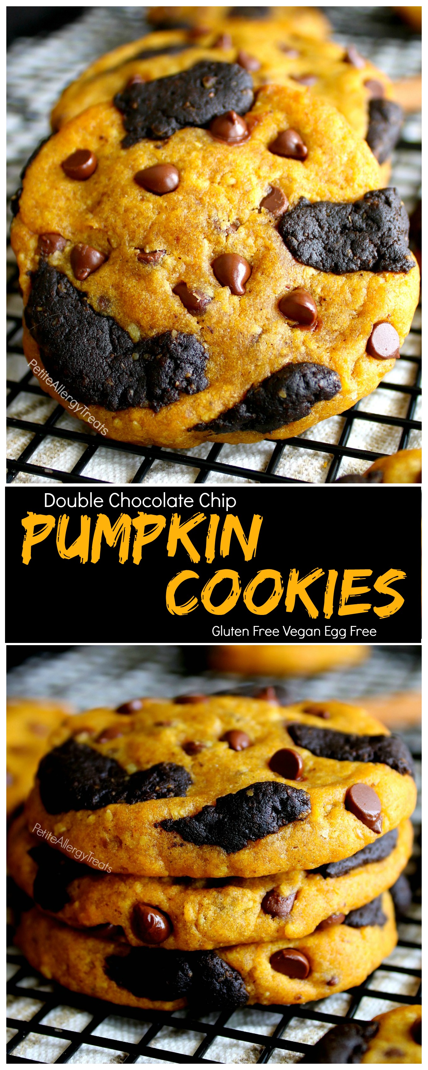 Vegan Gluten Free Pumpkin Chocolate Chip Cookies Recipe ( egg free dairy free) Double chocolate chip pumpkin filled cookies with warm pumpkin spice. Food Allergy friendly.