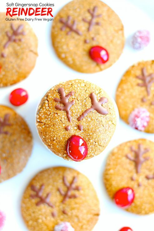 reindeer-gingersnap-cookies-1