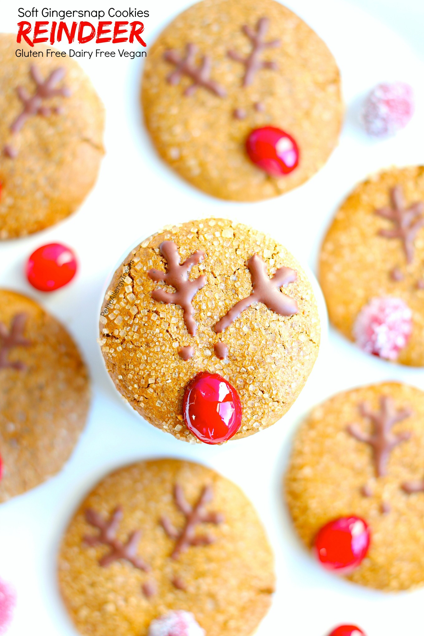 Gluten Free Reindeer Soft Gingersnap Cookies (vegan dairy free) Recipe- Adorable Christmas reindeer cookies with natural red nose. Food Allergy friendly!