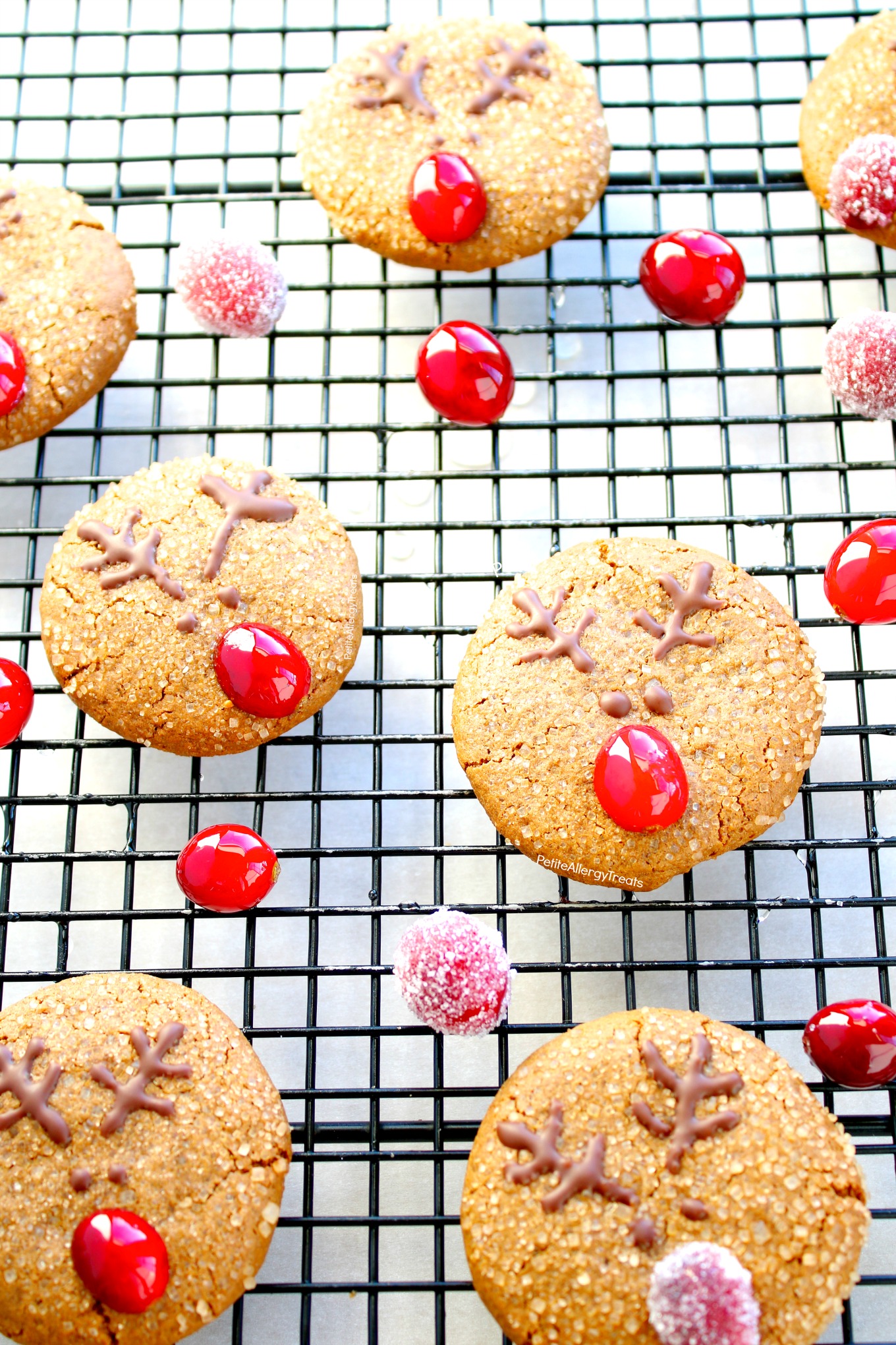 Dairy Free Reindeer Cookies (Soft Gluten Free Vegan Gingersnap Cookies) Recipe- Adorable Christmas reindeer cookies with natural red nose. Food Allergy friendly!