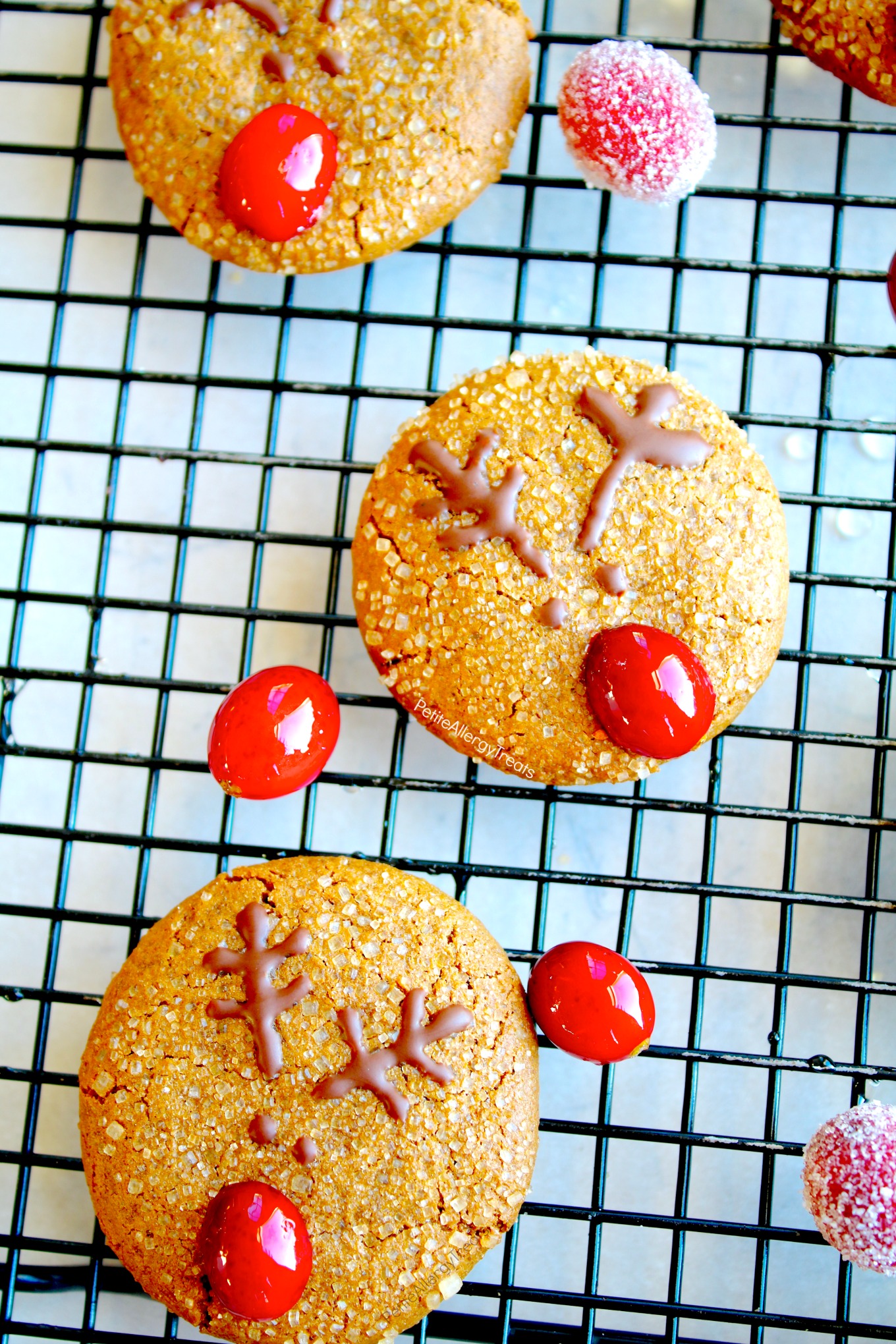 Christmas Reindeer Cookies (Soft Gluten Free Vegan Gingersnap Cookies) Recipe- Adorable reindeer cookies with natural red nose. Food Allergy friendly!