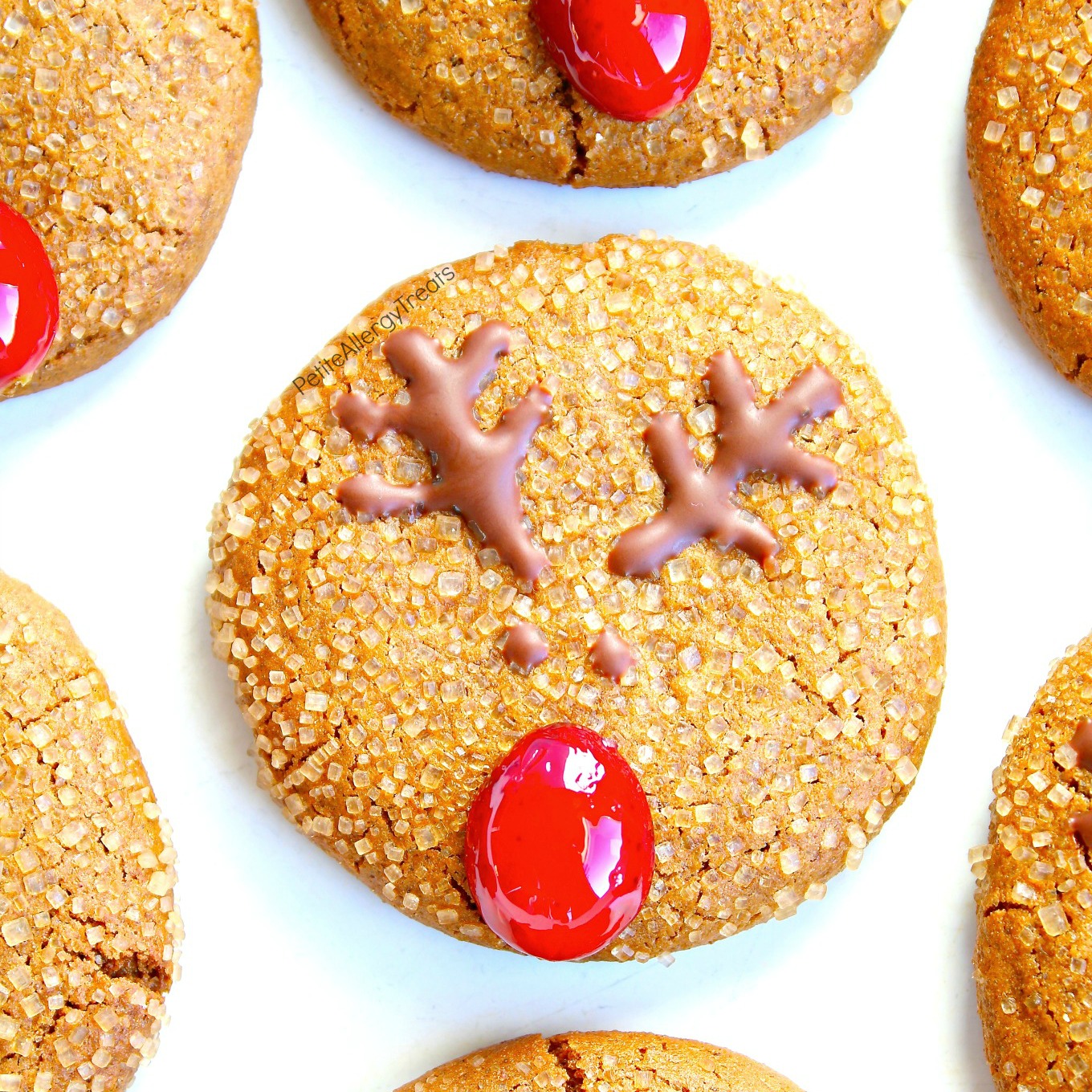 Gluten Free Gingersnap Reindeer Cookies (dairy free Vegan) Recipe- Adorable Christmas reindeer cookies with natural red nose. Food Allergy friendly!