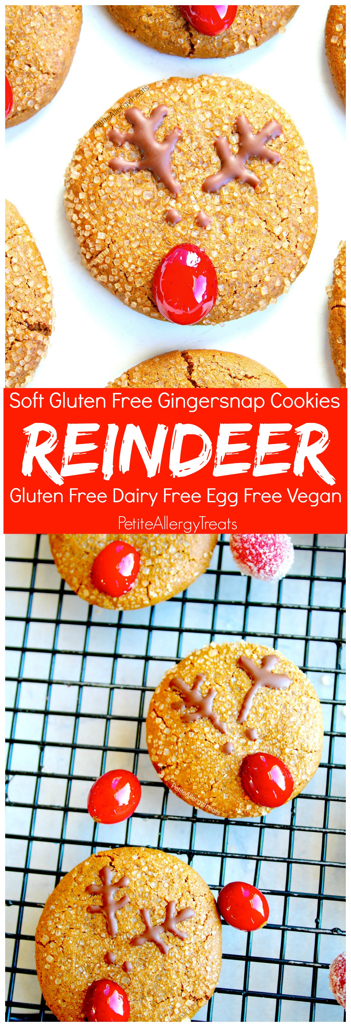 Gluten Free Gingersnap Reindeer Cookies (vegan dairy free) Recipe- Adorable Christmas reindeer cookies with natural red nose. Food Allergy friendly!