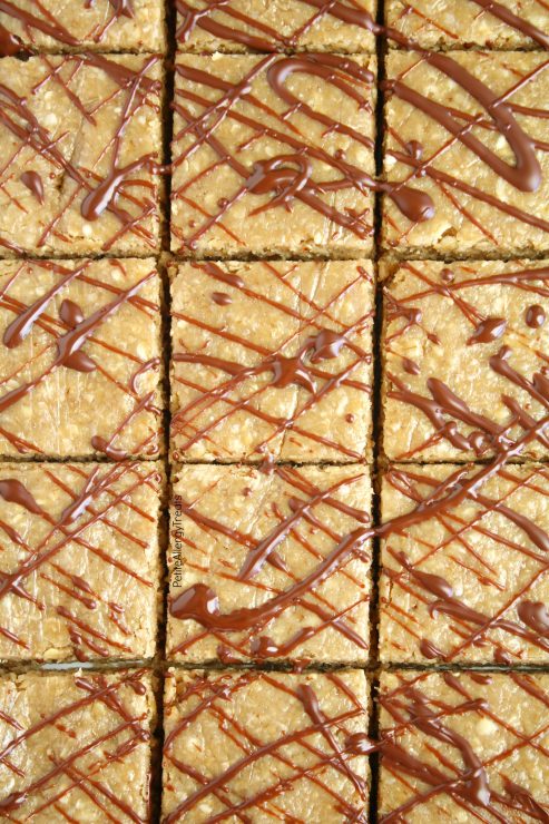 Gluten Free Oatmeal Breakfast Bars (Vegan) - Petite Allergy Treats