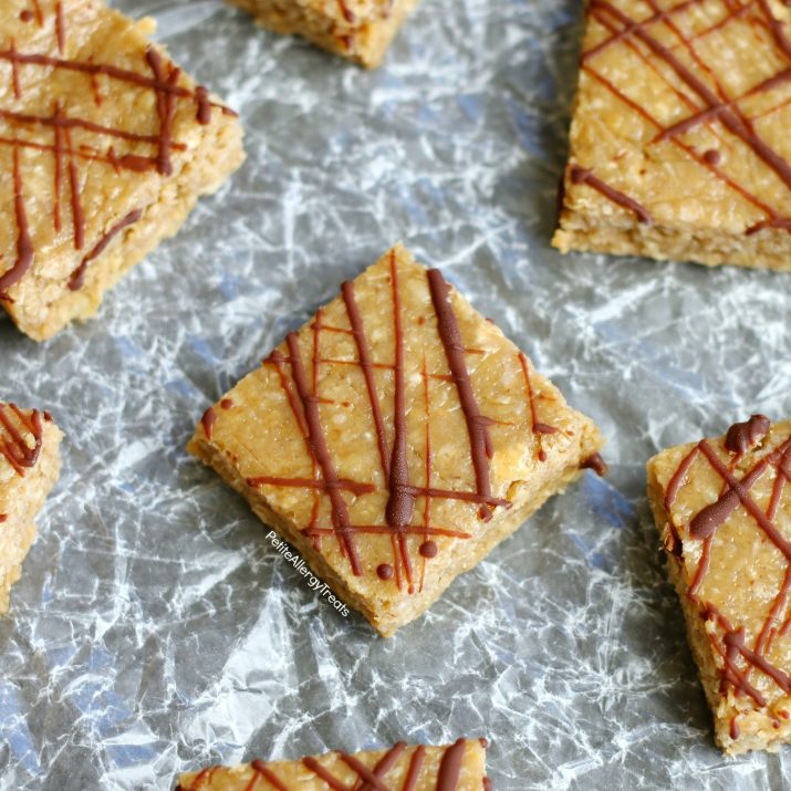 Gluten Free Oatmeal Breakfast Bars (Vegan) - Petite Allergy Treats