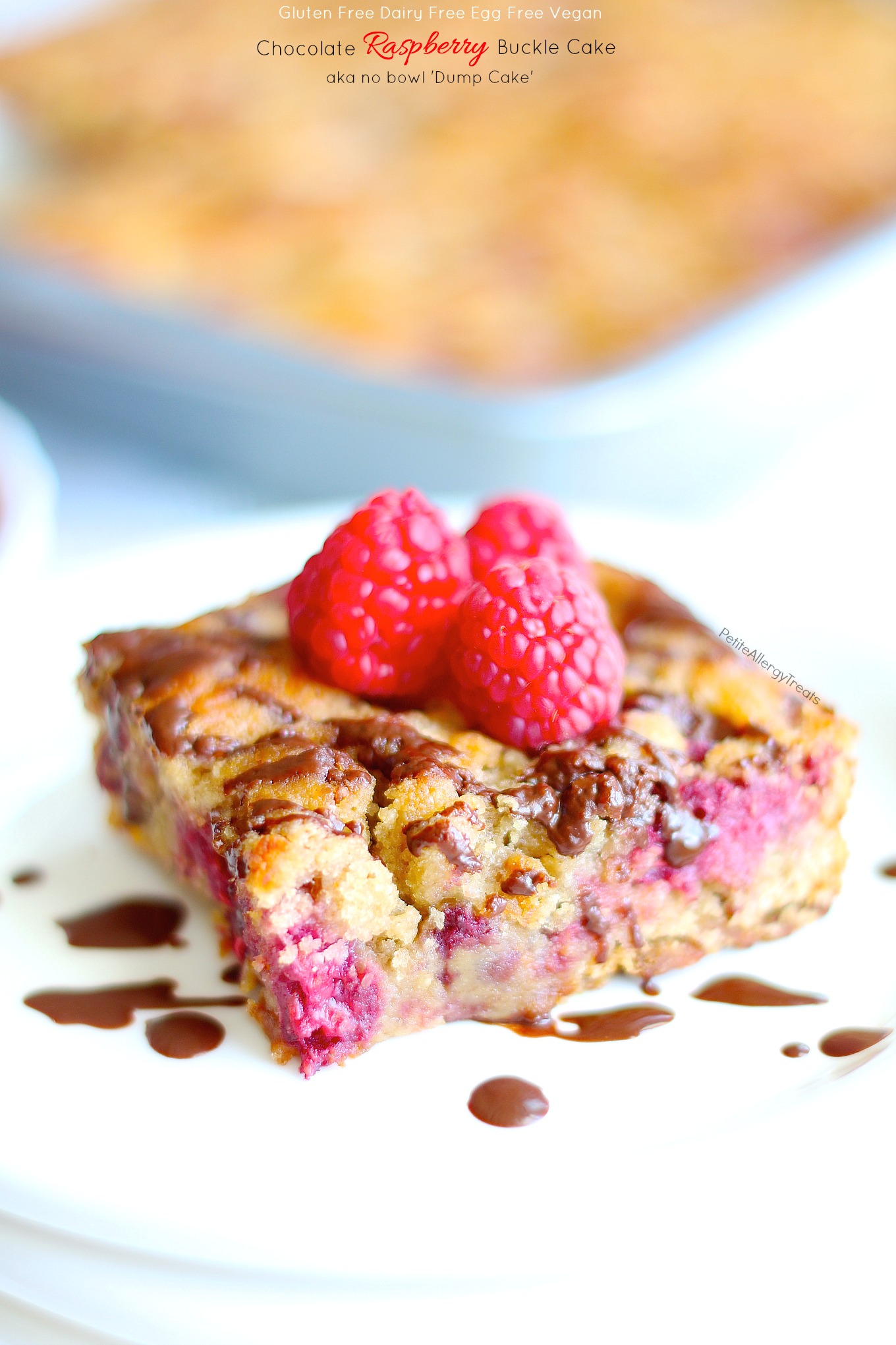 Gluten Free Raspberry Buckle Dump Cake Vegan Dairy Free Petite Allergy Treats