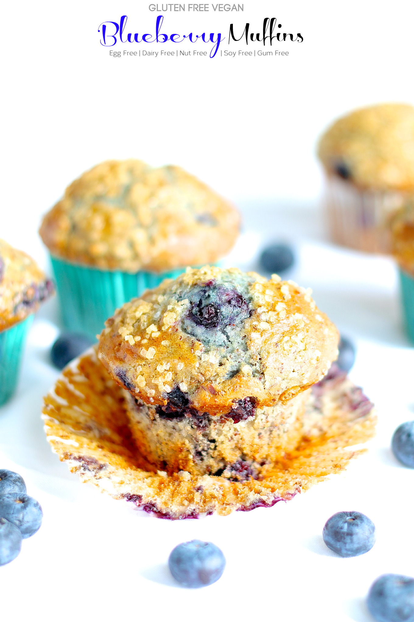 Gluten Free Vegan Blueberry Muffins (dairy free egg free) Recipe- Delicious HUGE Bakery style gluten free blueberry muffins! Super #FoodAllergy friendly- #dairyfree, #eggfree, #nutfree #soyfree