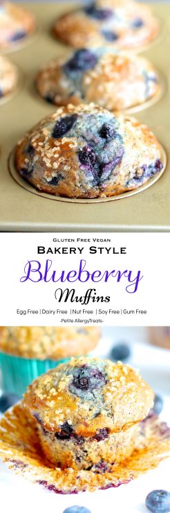 Gluten Free Vegan Flaxseed Blueberry Muffins - Petite Allergy Treats