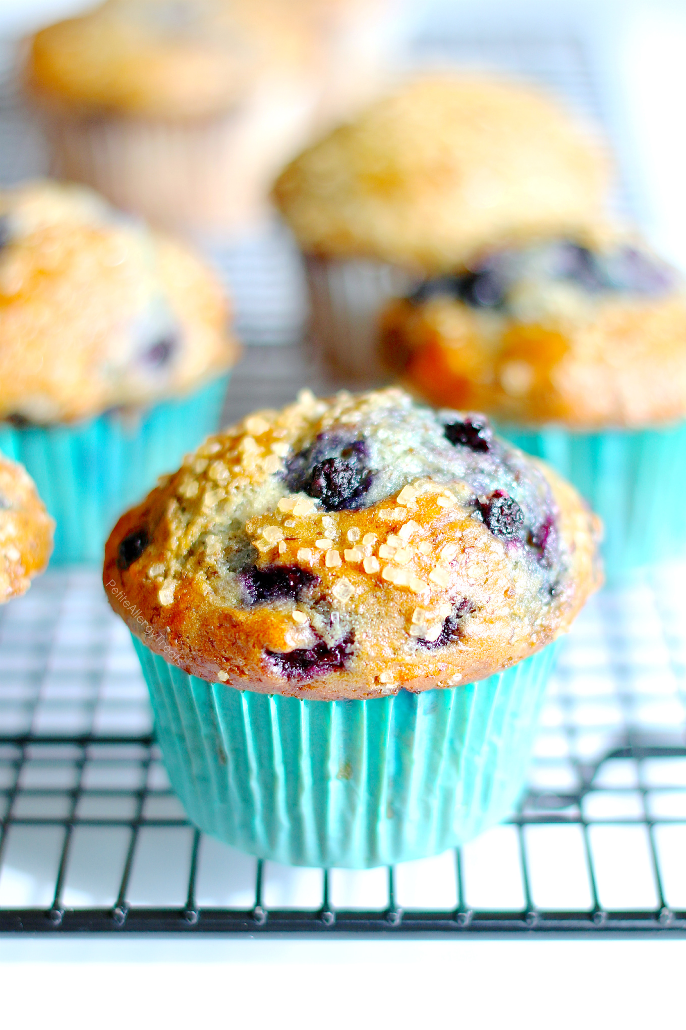 Blueberry Muffins (gluten free vegan dairy free egg free) Recipe- Delicious HUGE Bakery style gluten free blueberry muffins! Super #FoodAllergy friendly- #dairyfree, #eggfree, #nutfree #soyfree