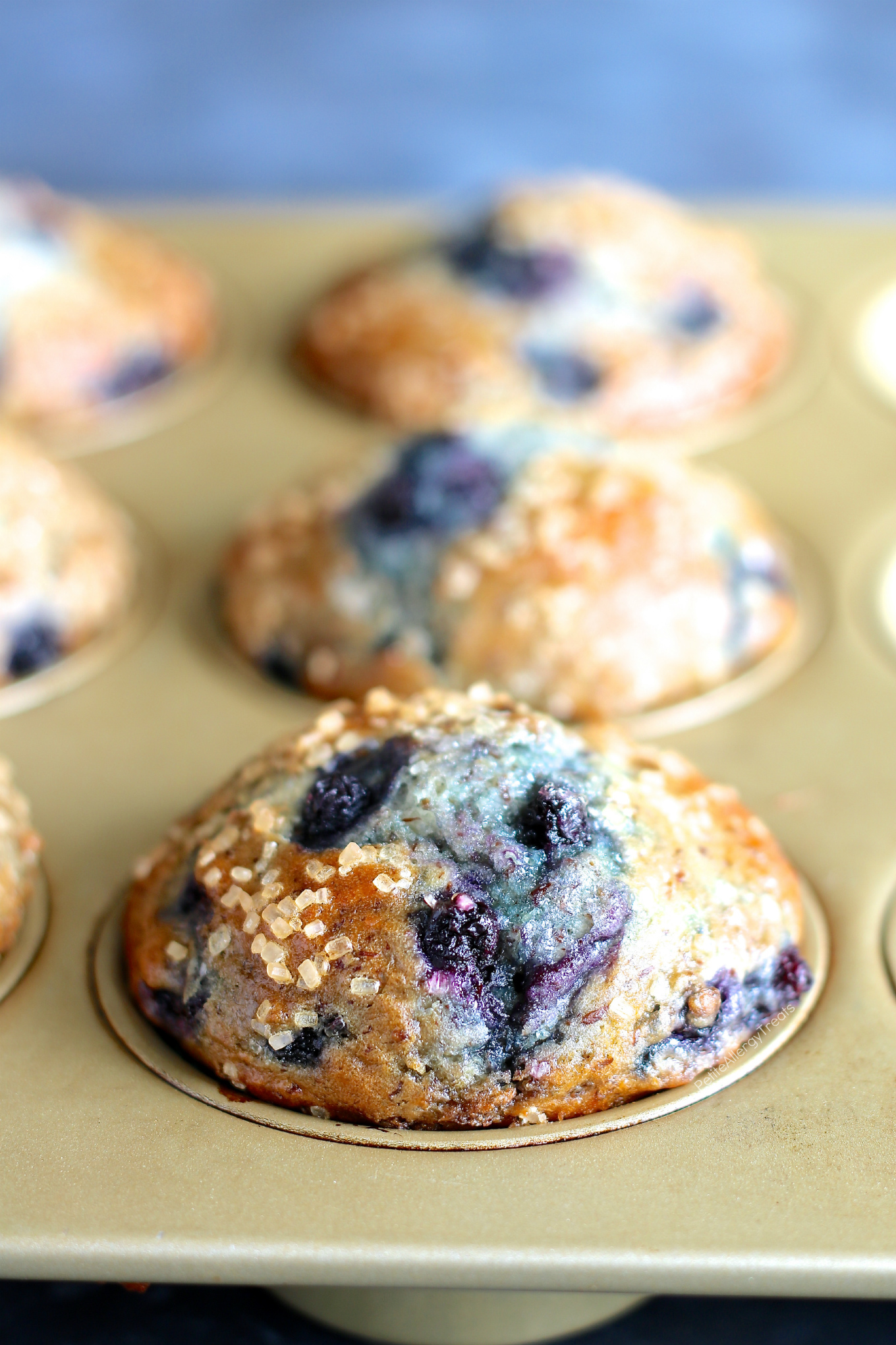 Bakery Style Gluten Free Blueberry Muffins (Vegan dairy free egg free) Recipe- Delicious HUGE Bakery style gluten free blueberry muffins! Super #FoodAllergy friendly- #dairyfree, #eggfree, #nutfree #soyfree